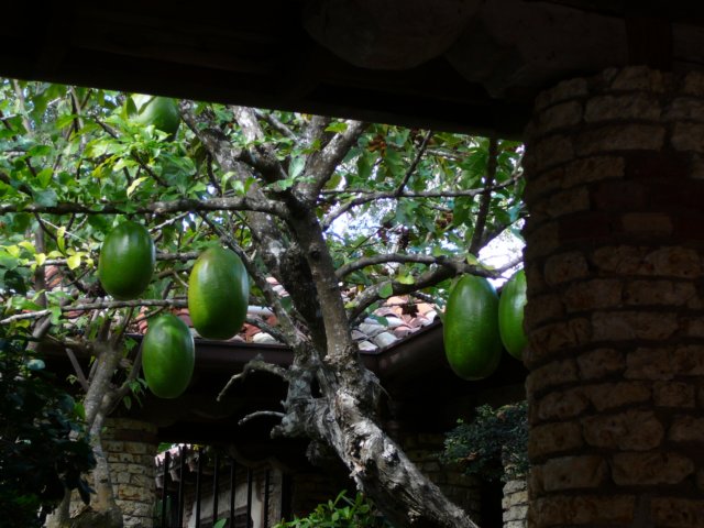 p1000544.jpg