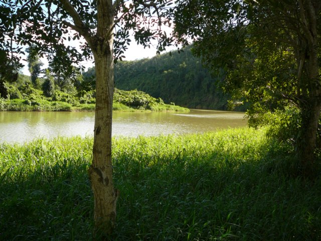 p1000592.jpg