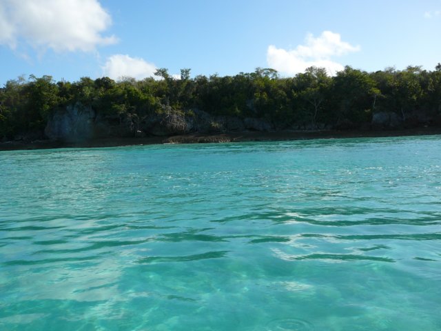 p1000695.jpg