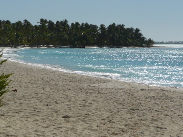 p1000732.jpg