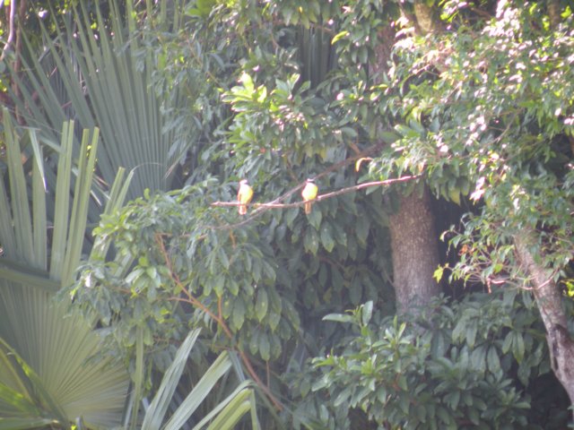 dscn0249.jpg