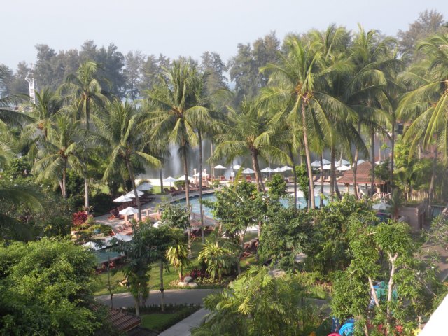 a1.jpg