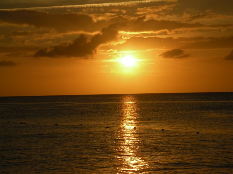 dscn1098.jpg