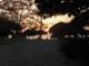 dscn1106_small.jpg