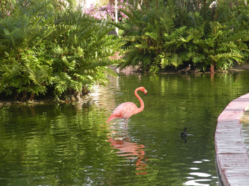 dscn1158.jpg