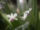 dscn1187_small.jpg
