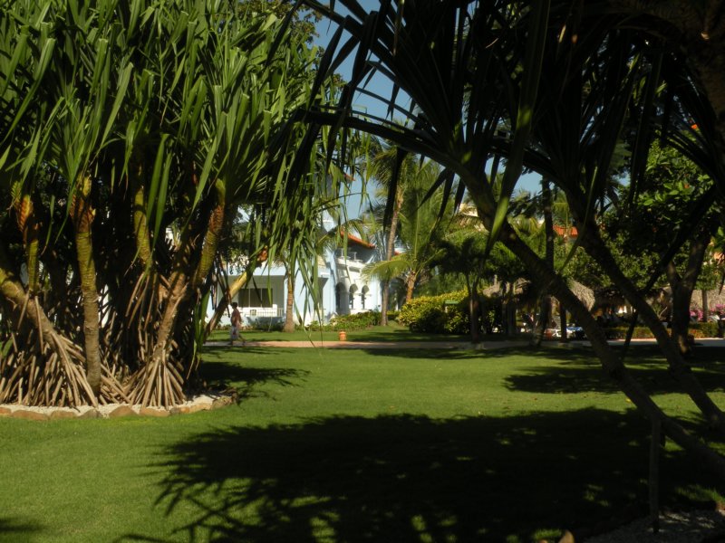 dscn1240.jpg