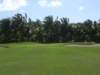 dscf0110_small.jpg