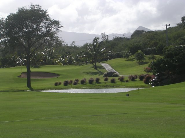 dscf0111.jpg