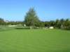 dscf0115_small.jpg