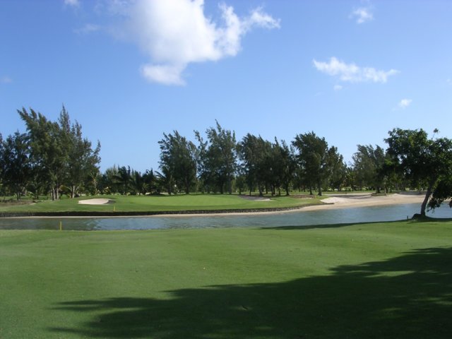 dscf0118.jpg
