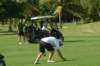 dscf0356_small.jpg