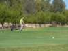 p1010351_small.jpg