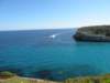 dscn0334_small.jpg
