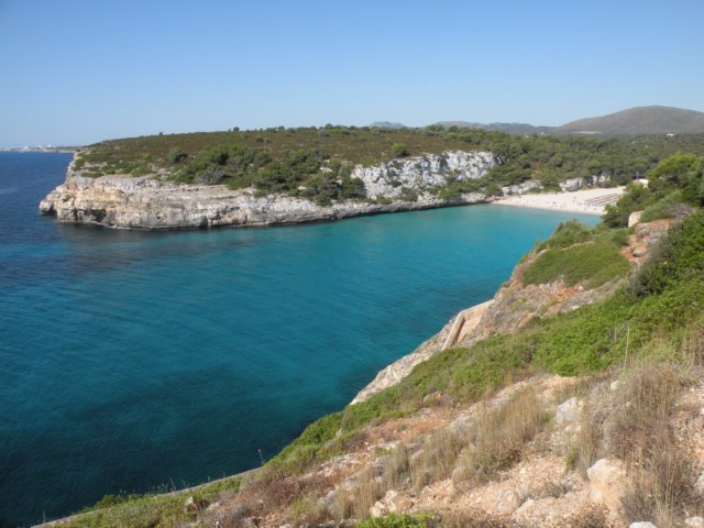 dscn0338.jpg