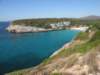dscn0338_small.jpg