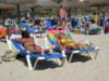 dscn0342_small.jpg