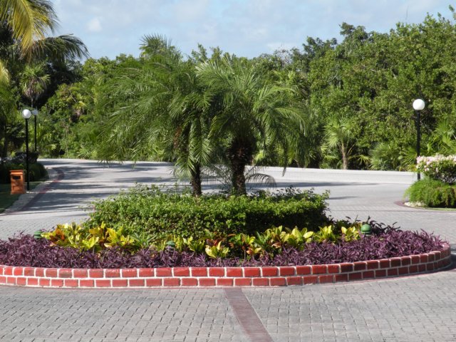 dscn0100.jpg
