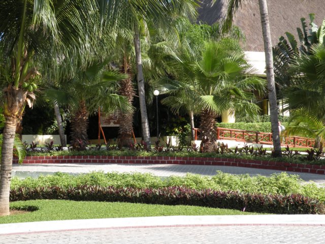 dscn0102.jpg