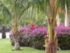 dscn0166_small.jpg