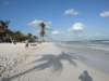 dscn0220_small.jpg