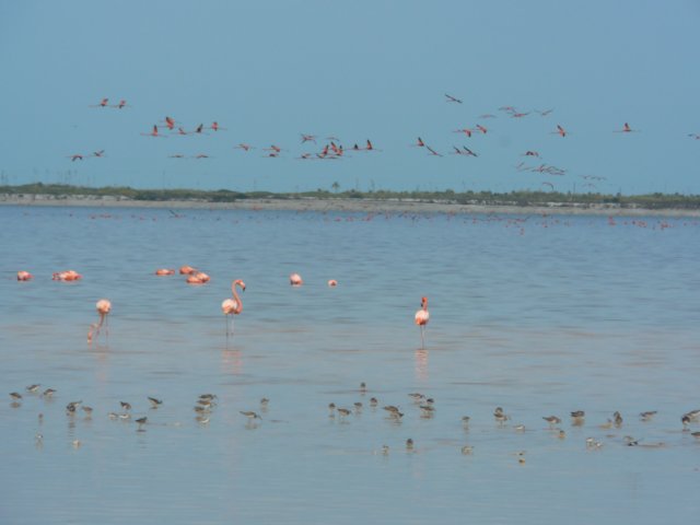 p1010848.jpg