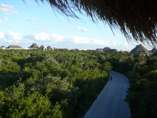 photo6.jpg